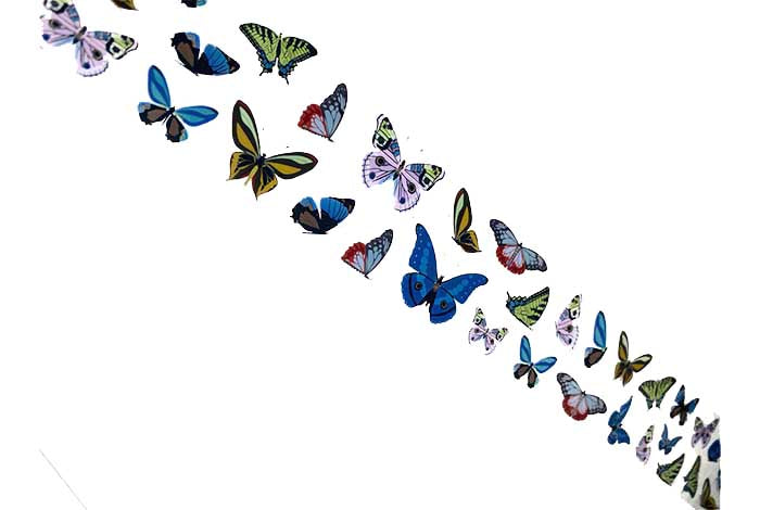 90 - Peacock Butterfly Folie