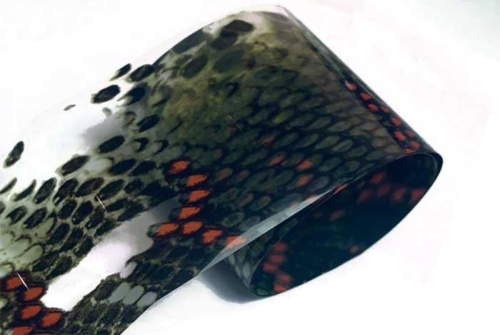 104 - Realistiskt klart ormskinn