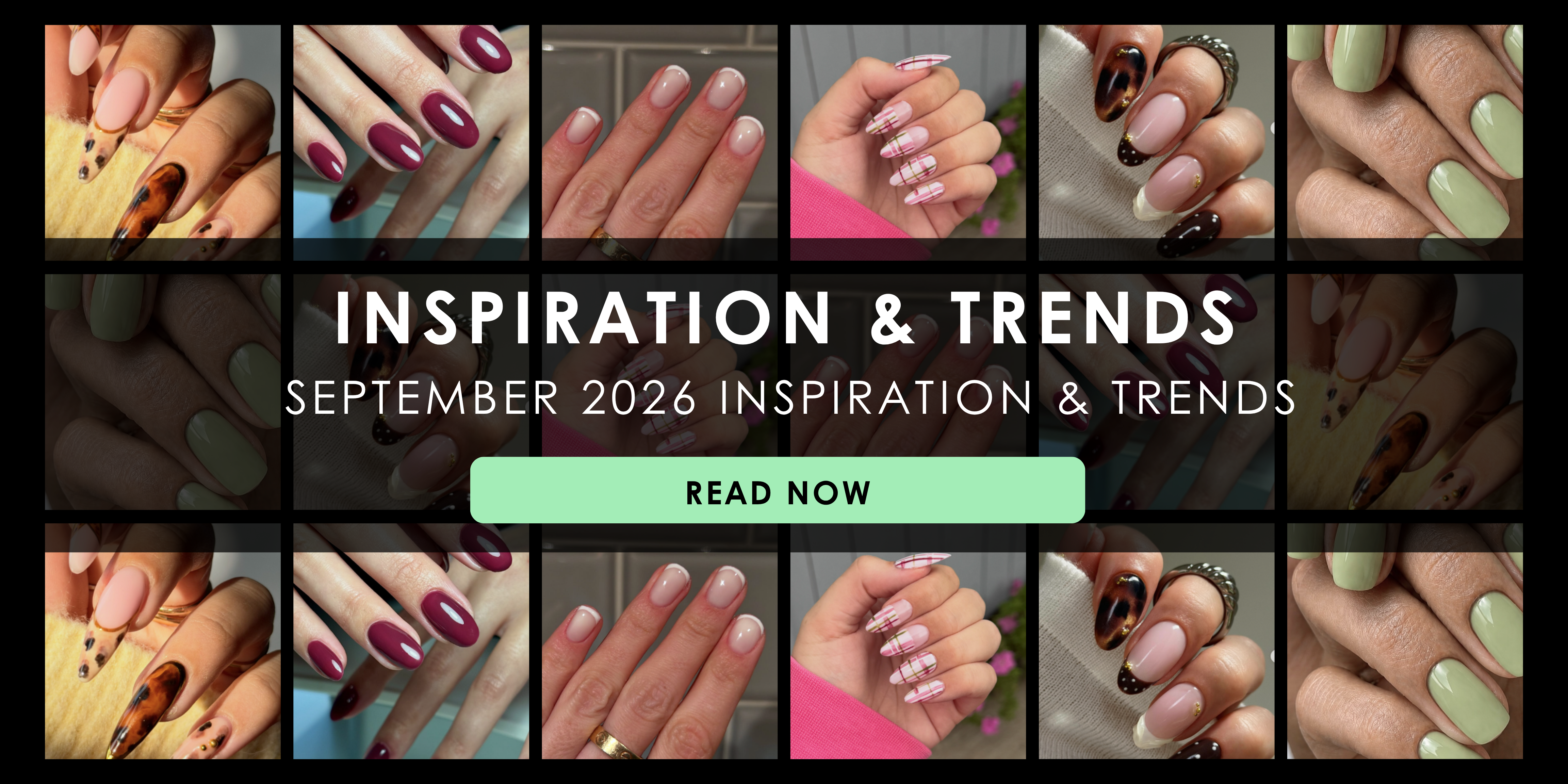 September 2026 Inspiration & Trends