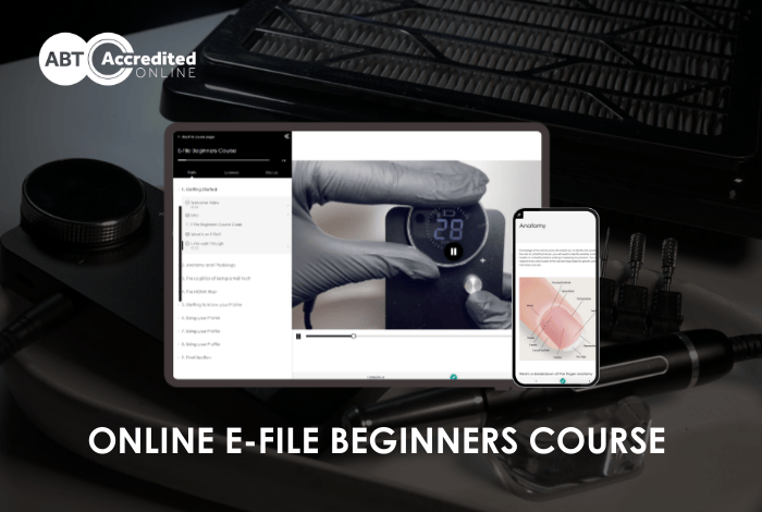 Online E-File Beginners Course