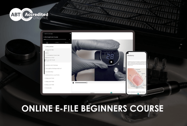 Online E-File Beginners Course