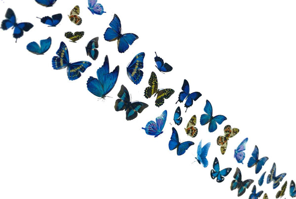 115 - Spräcklig Blues Butterfly Folie 
