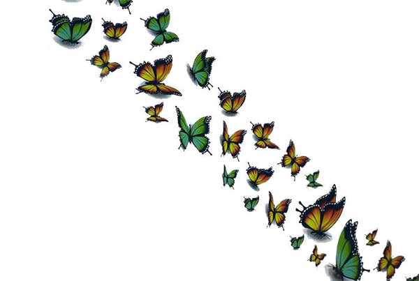 117 - Summer Brights (grön/gul) fjärilar 